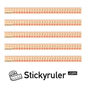 Arts & Crafts 5 Rulers Decals Sticker Set 30cm for Drawing Sewing Cutting Desk with Floral/Flower Pattern